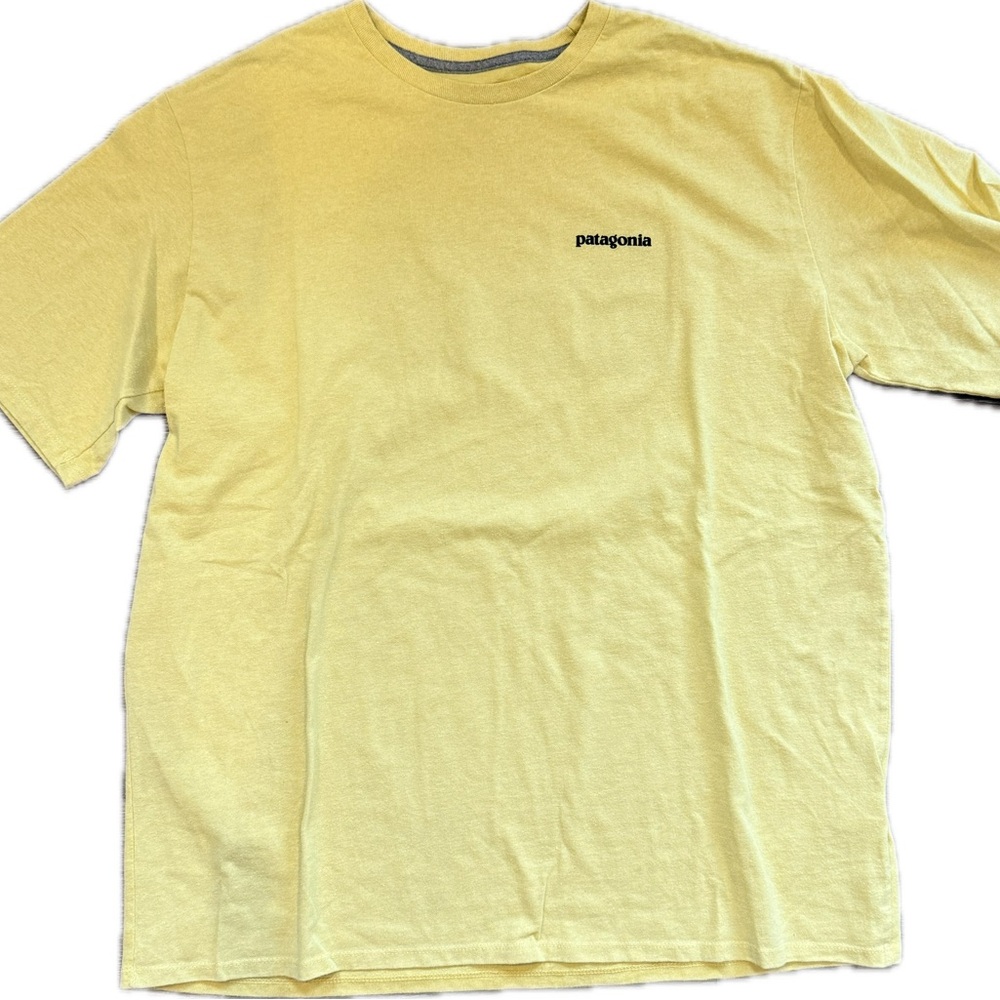 Patagonia Men's Short Sleeve Tee in honey yellow
